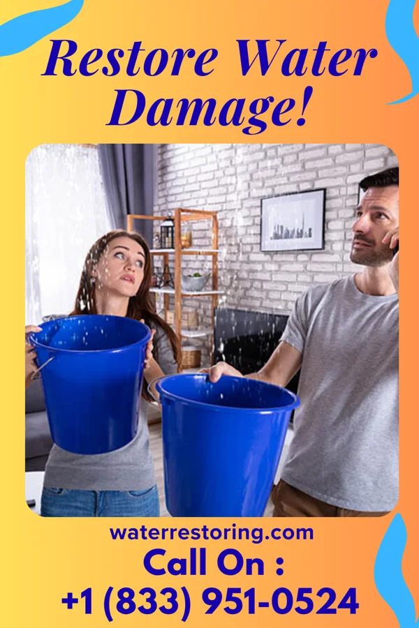 water restoration Sterling Water Repair Professionals Olivet