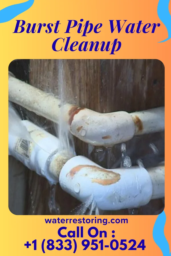 Burst Pipe Water Cleanup in Olivet, MI