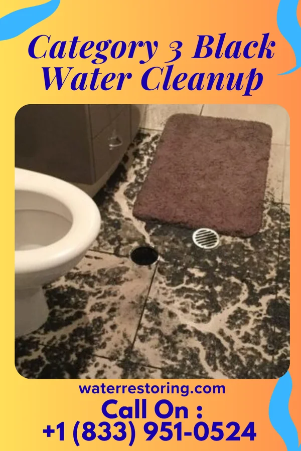 Category 3 Black Water Cleanup in Olivet, MI
