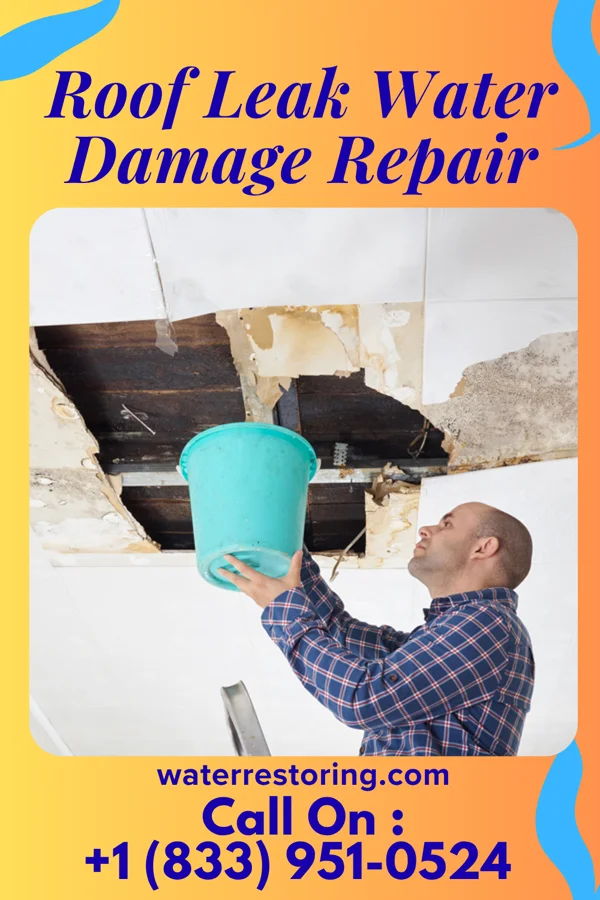 Roof Leak Water Damage Repair in Olivet, MI